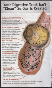 Taken from: http://www.facebook.com/photo.php?fbid=439589696118782&set=pb.354250581319361.-2207520000.1366517582.&type=3&theater