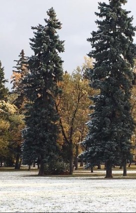 Early snow in September